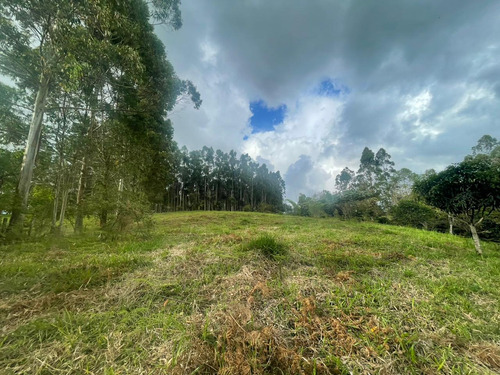 Se Vende Lote Rural Independiente En Circasia Quindío 