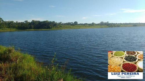 Imagem 1 de 14 de Fazenda À Venda Em Santa Rita Do Pardo - Ms - 650 Hectares (pecuária) - 1657