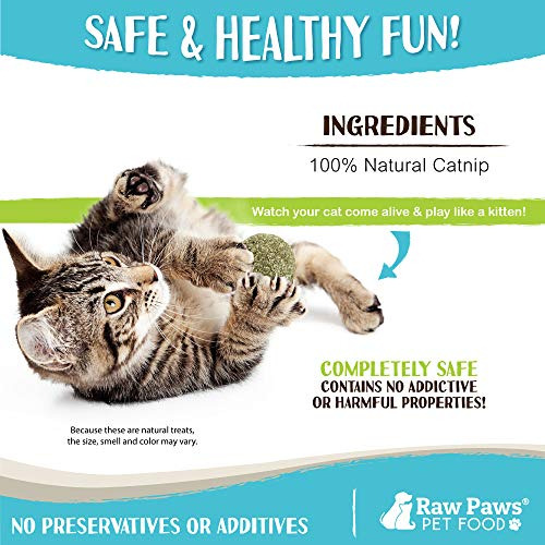 Pelota De Catnip Natural Para Gatos - Juguete Interactivo