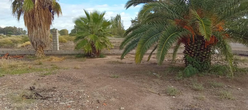 Venta De Casa En Carril Norte, San Martín, Mza