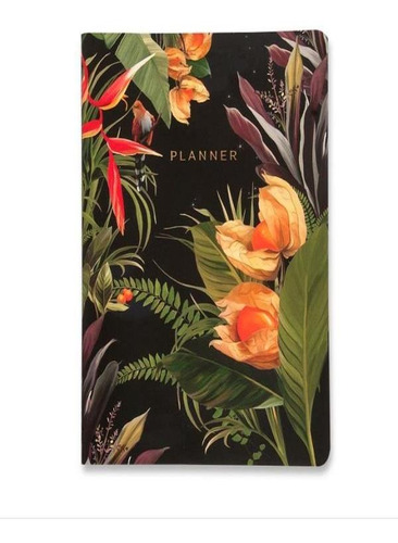 Planner Permanente Revista Planejamento Amazônia Mensal 19x