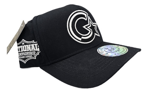 Gorra Baseball Cap Oficial Double Aa Fitted M.19550