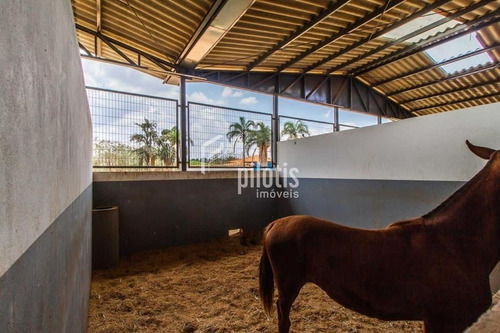 Imagem 11 de 15 de Sitio - Outros - Ref: 699 - V-p895