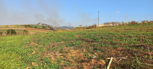 Imagem 12 de 30 de 03o-terreno A Venda Em Igarata