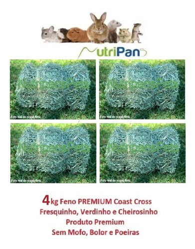 Feno Coast Cross Premium Para Roedores Mini Pigs 4kg