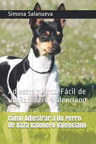 Cómo Adiestrar A Un Perro De Raza Ratonero Valenciano: Adies