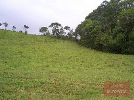 Imagem 12 de 20 de Sítio À Venda, 163000 M² Por R$ 650.000,00 - Vargem Do Salto - Ibiúna/sp - Si0001