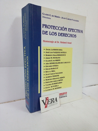 Protección Efectiva De Los Derechos / Midón G. - Vallejos J.