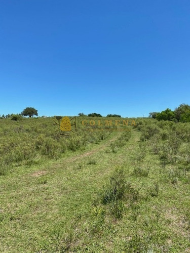 Campo Con Casa, Tajamar Monte Natural Muy Cerca De Aigua Consulte.- Ref: 1552