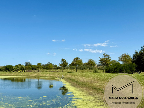 Venta Campo Solís De Mataojo