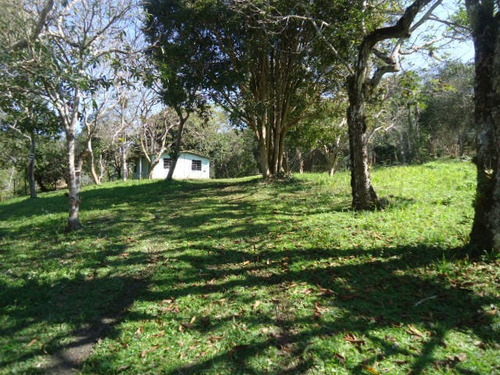 Imagem 1 de 14 de Sitio Próximo A Represa Ref 1291