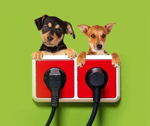 X4 Vinilos Decorativos Gatos Perros Llaves De Luz Y Enchufes