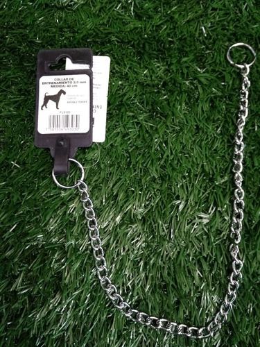 Collar Entrenamiento 2mm-40cm Perro Airedale Terrie Mascota Color Cromado Tamaño del collar 2m.40cm
