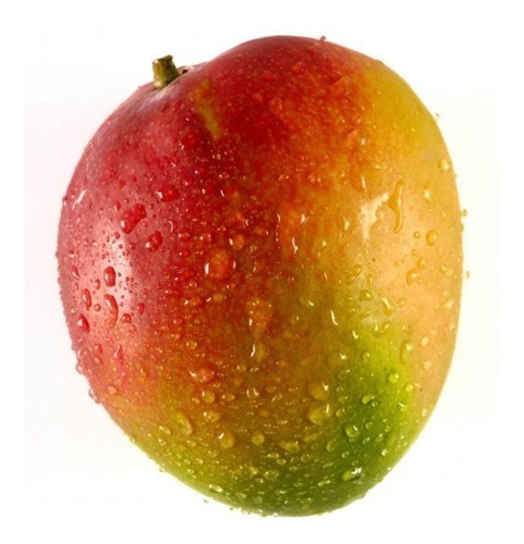 Mango Kent, Limonero 4 Estaciones, Mandarina Criolla, Cerezo