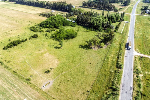 Chacras Venta 4,7 Has Residenciales-productivas Carmelo
