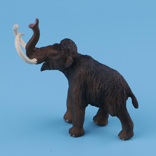Modelo De Animal Juguete Educativo Juguetes Juegos Primera