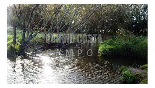 Imagen 1 de 8 de Campo Agricola Venta Sierra Los Padres Mar Del Plata Batan