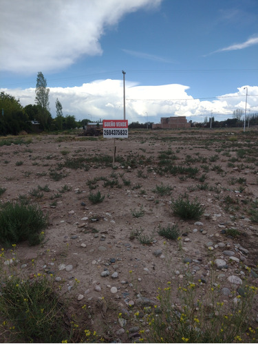 Lote En San Rafael Mendoza 