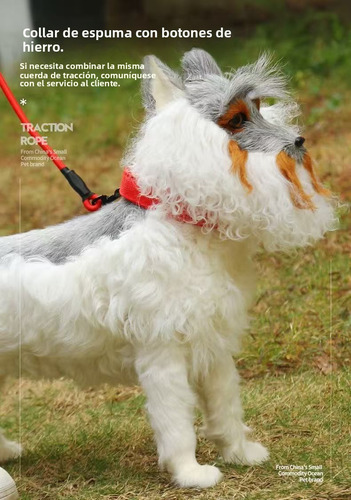 Collar Para Correas Perros Con Hebilla Metálica Ajustable M Azul