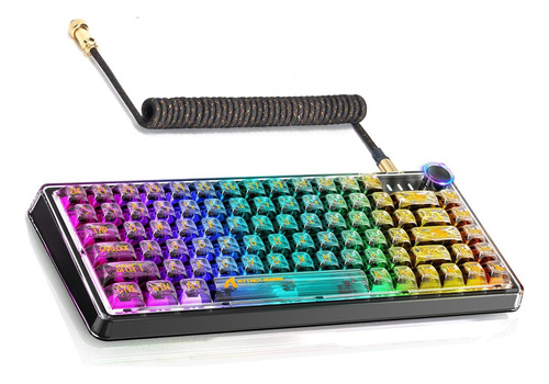 Magic-refiner 81 Keys Compact Gaming Keyboard Y Cable Usb C