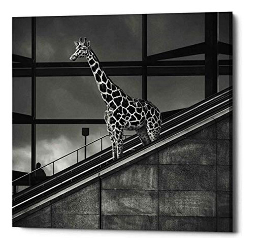 Epic Graffiti Jirafa Series Dariusz Klimczak, Giclee Lienzo 