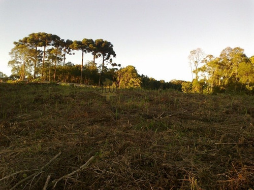 Terreno A Venda No Bairro Campo Pequeno Em Colombo - Pr. - 5325-1
