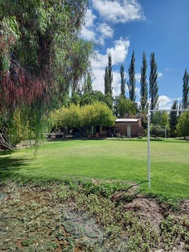 Imagen 27 de 30 de 3 Fincas Con Bodega En Venta Cañada Seca.