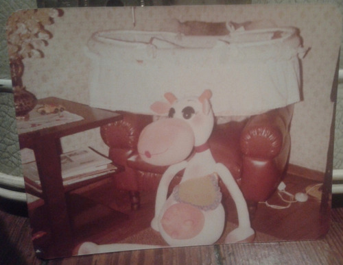 Antigua  Foto  Juguete Muñeco Vaca Peluche