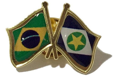 Pin Da Bandeira Do Brasil X Mato Grosso