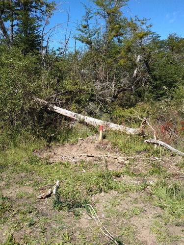 Sitio En Venta En Chile Chico