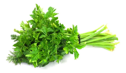 Semillas De Perejil Organicas Ideal Huerta