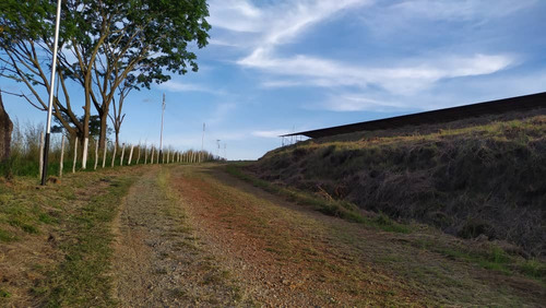 Vendo Finca En Tinaquillo Cojedes Mg