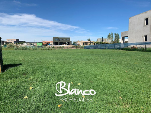 Imagen 6 de 12 de Oportunidad! Muy Lindo Lote A La Laguna Dentro Del Barrio Cerrado El Cantón - Norte