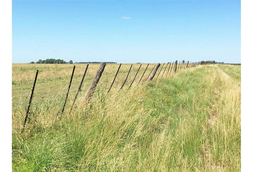 Imagen 6 de 15 de Campo En Quemu Quemu La Pampa