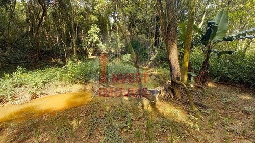 Imagem 10 de 15 de Chacara - Ref: 6512 - V-6512