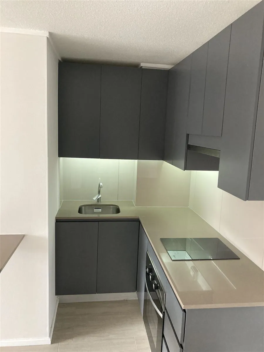Imagen 3 de 17 de Arriendo Departamento 1d 1b Con Estac. Prat 655. Santiago.