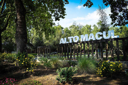 Imagen 32 de 40 de Altomacul Altavista