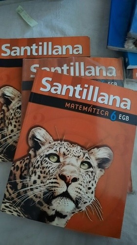 Matemática Egb Santillana 6 