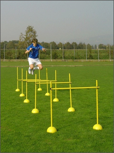 Valla Plastica Regulable 1 Metro Entrenamiento Salto Envios