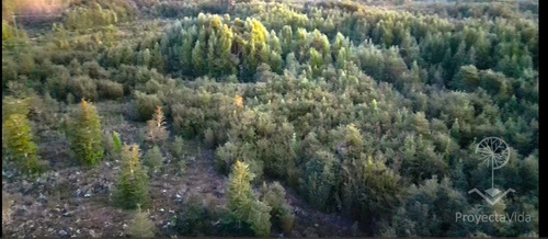 Venta Parcela 1 Hectárea En Ancud, Chiloé