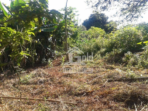 Chácara Com 2 Dormitórios À Venda, 4746 M² Por R$ 1.250.000 - Jardim Monte Carlo - Ribeirão Preto/sp - Ch0023
