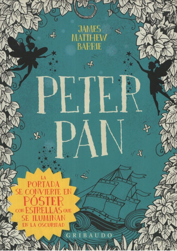 Libro Peter Pan - La Portada Se Convierte En Poster Con Estr