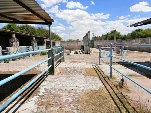 Rancho En Venta Cerca De Polotitlán Querétaro - Precio De Remate