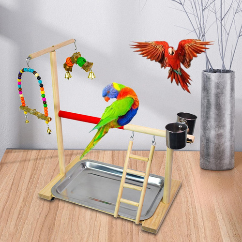 Soporte De Percha De Loro De Madera Fácil De Instalar