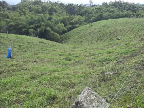 Venta Finca Ganadera Filandia Via Quimbaya - 41 Cuadras