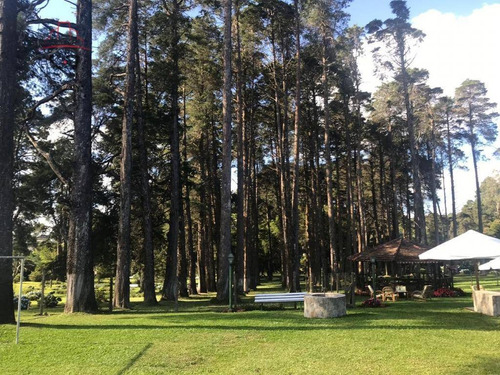Imagem 12 de 14 de Casa Com 6 Dormitórios À Venda, 972 M² Por R$ 40.000.000,00 - Parque Das Nascentes - Pinhais/pr - Ca0089