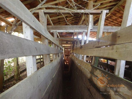 Imagem 5 de 16 de Venda - Sítio Da Ilha / Pilar Do Sul/sp - 4360
