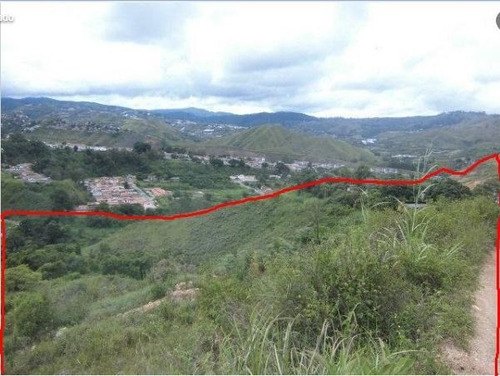 Imagen 7 de 13 de Terreno En Venta 13.5 Hectareas En Las Guamas Los Teques