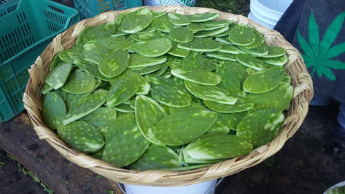 Nopal Picado Y Cocido