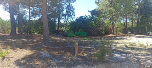 Imagen 9 de 9 de Terrenos Financiados A Pura Cuota En El Pinar Proximos A Gianattassio
